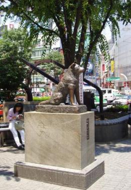 Denkmal zu Ehren Hachikos im Tokyoter Stadtteil Shibuya.